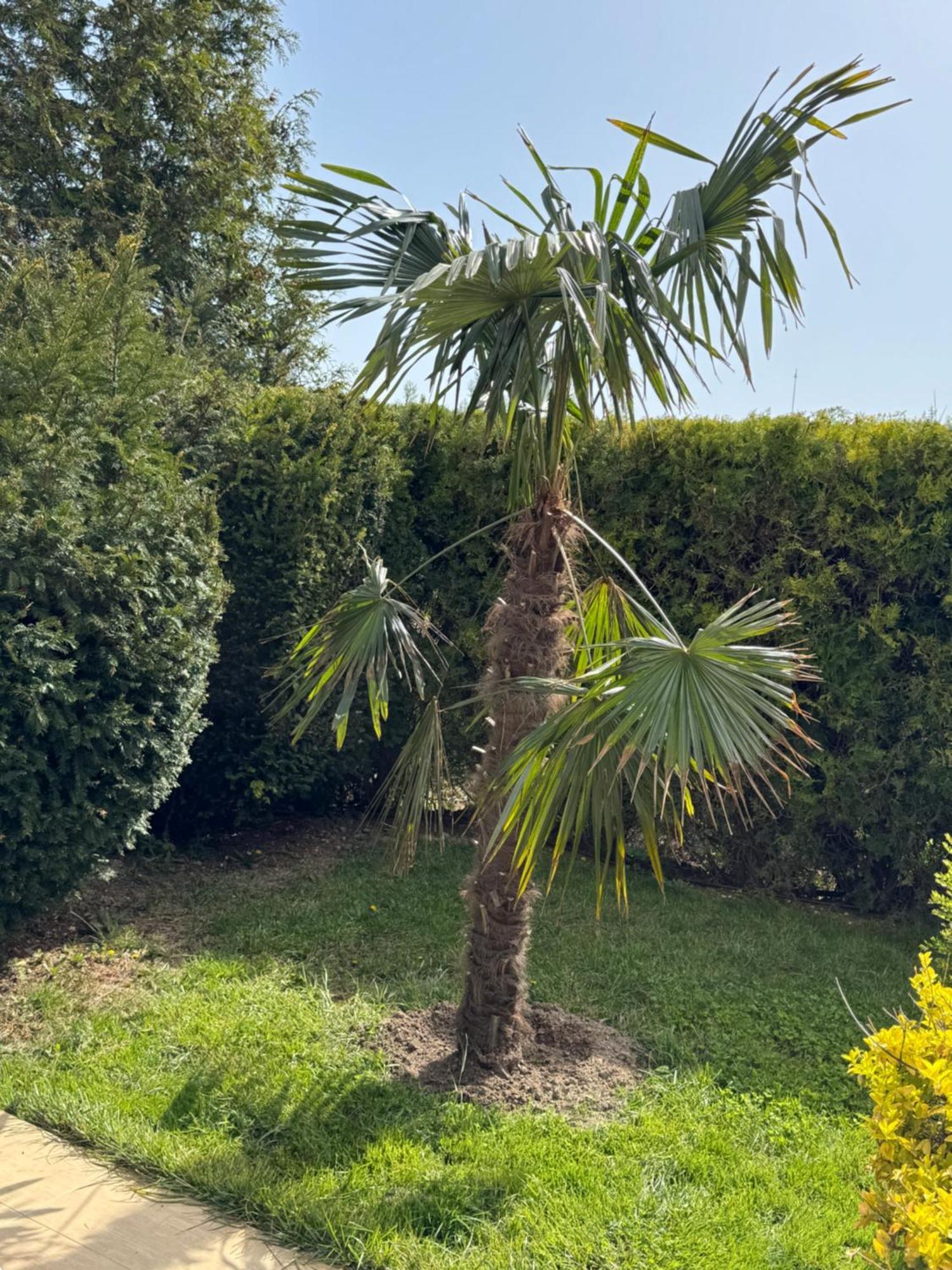 Villa Holiday Bałczik Zewnętrze zdjęcie